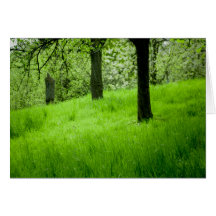 The Orchard Greeting Card