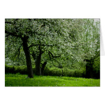 The Orchard Greeting Card