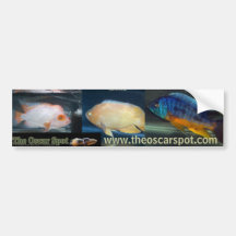 The Oscar Spot Bumper Stickers