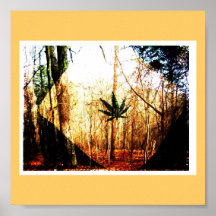 The Outdoorsman Poster