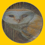 THE OWL PLATE plates