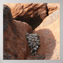 The 'oyster's nest' poster