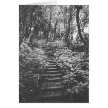 THE PATH . . . CARD