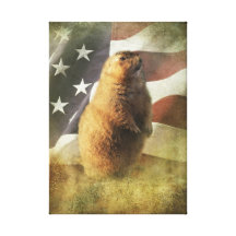 The Patriot Canvas Print