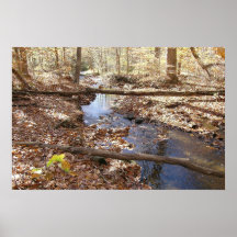 The Peaceful Stream Print