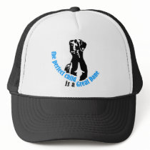 The perfect child is a great dane hats
