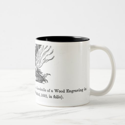 The Phoenix rising from his ashes Mug