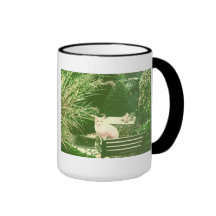 The pink cat mug