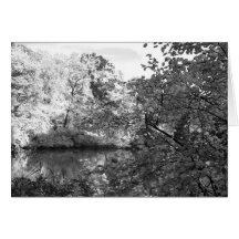 The Pond at Central Park Greeting Cards