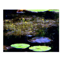 The Pond Post Card