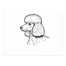THE POODLE POST CARDS