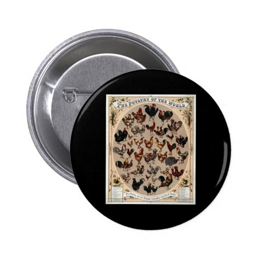 The poultry of the world button