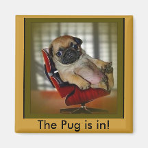The Pug is in! Magnets