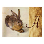 THE RABBIT ( Young Hare ) Monogram Post Card