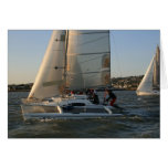 The Race is On... Greeting Cards