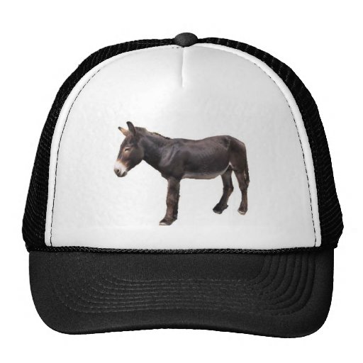 The Real Ass Hat