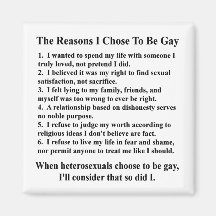 The Reasons I'm Gay Fridge Magnets