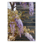 The Retreat Cards