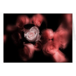 The Rose Among Roses Cards
