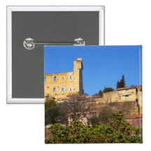 The ruins of the Pope's summer castle in Buttons