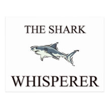 The Shark Whisperer Postcards