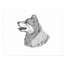 THE SHIBA INU POSTCARD