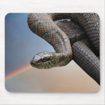 The snake and the rainbow mouse mats