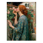 The Soul of the Rose, 1908 Postcard