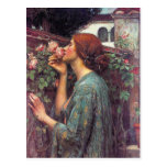 The Soul of The Rose by John W. Waterhouse Post Card