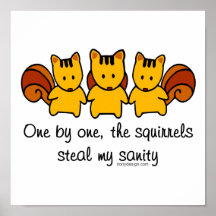 The squirrels steal my sanity poster