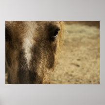 The Stare Print