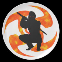 THE STEALTH NINJA plates