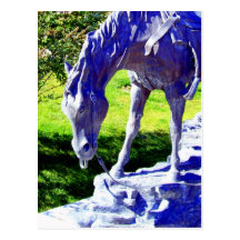 "The Steed" Postcard