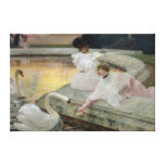 The Swans, 1900 Gallery Wrap Canvas