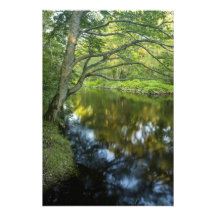 The Taunton River in Bridgewater, 2 Photo