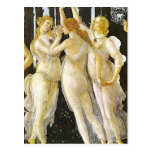 The Three Graces by Sandro Botticelli Postcards
