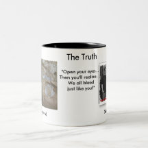 The Truth Lyric Mug
