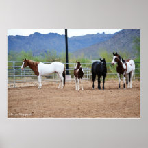 The View Posters