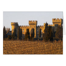 The vineyard with syrah vines and the chateau cards