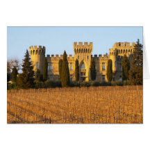 The vineyard with syrah vines and the chateau greeting card