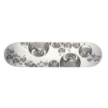 THE VISIONARY SKATEBOARDS