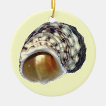 The Waters Ornament