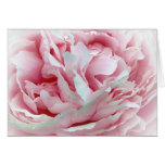 The Wedding Flower Cards
