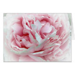 The Wedding Flower Greeting Cards