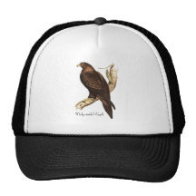 The Wedge Tailed Eagle. A Magnificent Bird of Prey Hat