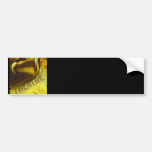 Theatre Binoculars Bumper Stickers