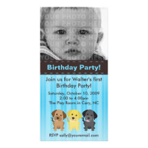 Thee Labradors Blue Birthday Invitation Photo Card Template