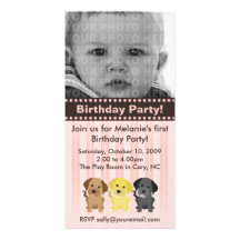 Thee Labradors Pink Birthday Invitation Picture Card