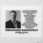Theodore Roosevelt Waste Destroy Natural Resources Full Color Flyer