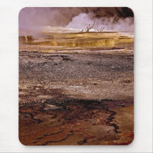 THERMAL POOL WITH DRY TREES AND GOLD TERRACES MOUSE PAD